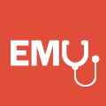 EMU Icon